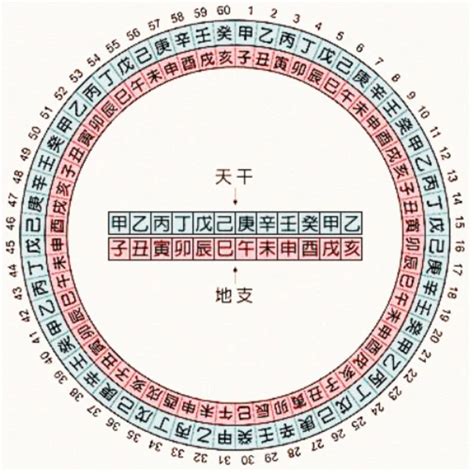 地支表|天干地支对照表